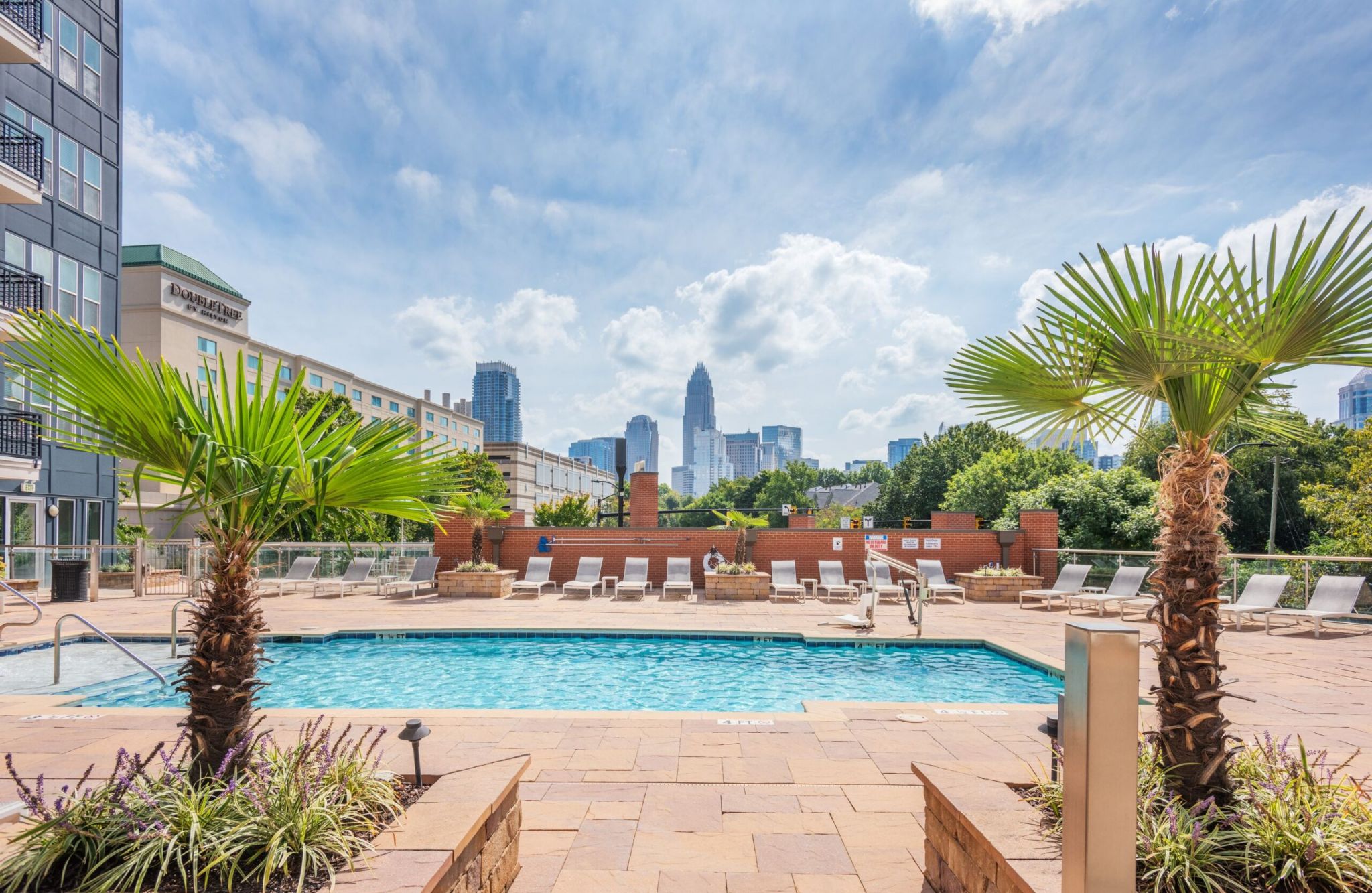 Rooftop pool at Gateway West, with palm trees, a city skyline view, and a clear blue sky in the background.