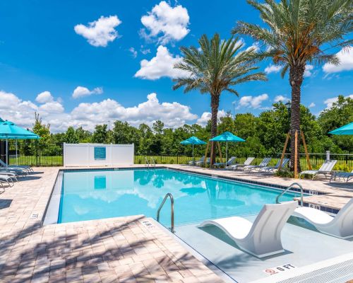 A sunny Southside Quarter outdoor swimming pool surrounded by lounge chairs, umbrellas, and palm trees under a blue sky.